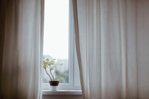 Why I am grateful to be alive this morning